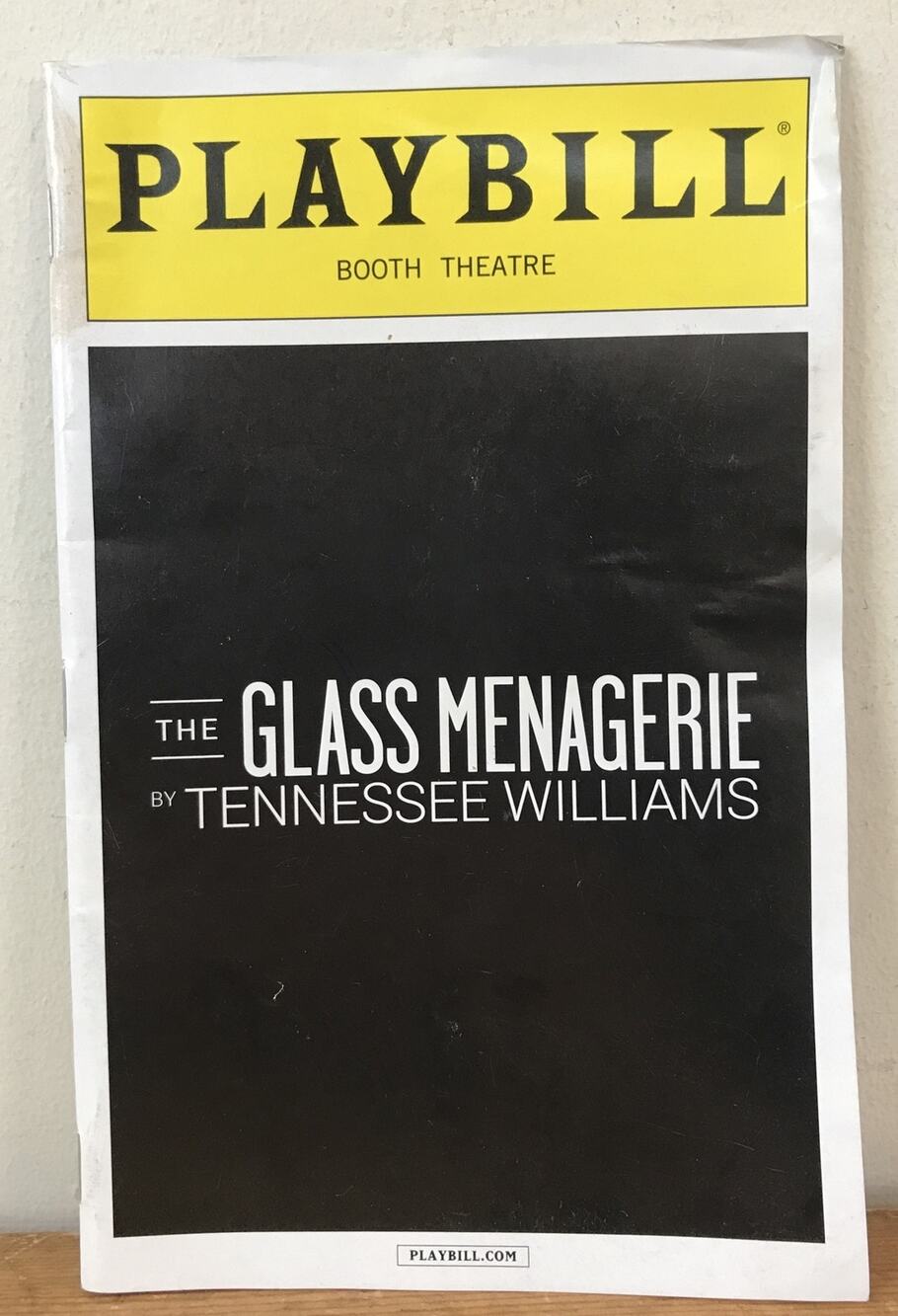 2013 The Glass Menagerie Tennessee Williams Booth Theater Playbill Pamphlet